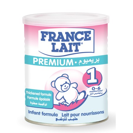 France Lait premium lait infantile 1er Age 400g