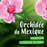 Ushuaïa Déodorant efficacité 24h à l'extrait d'orchidée du Mexique - 200ml